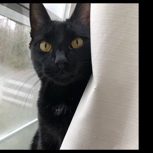 Meet your Posher, Caitlin